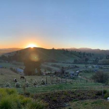 Wake Field Views Bed & Breakfast Nelson Eksteriør bilde
